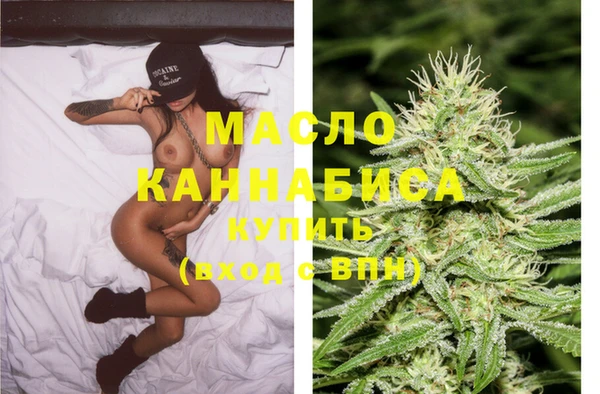 шишки Новозыбков