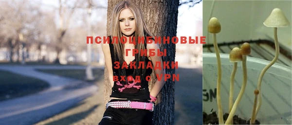 МДПВ Новокубанск