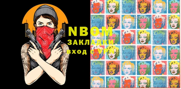 шишки Новозыбков