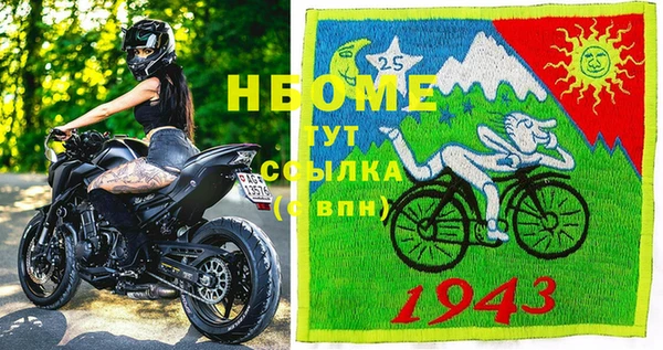 шишки Новозыбков