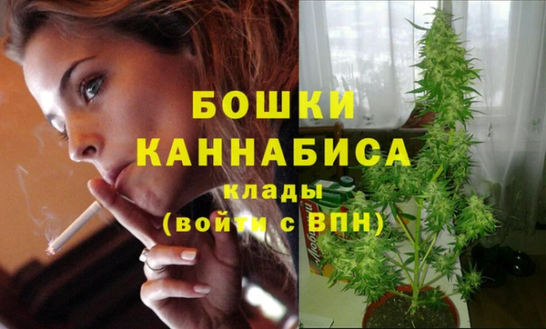 МДПВ Новокубанск