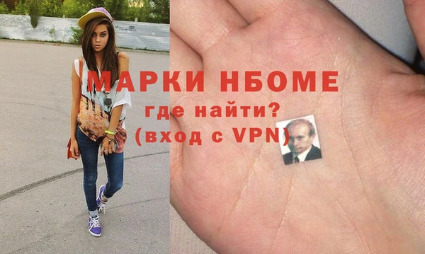 шишки Новозыбков
