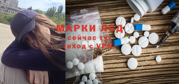 шишки Новозыбков