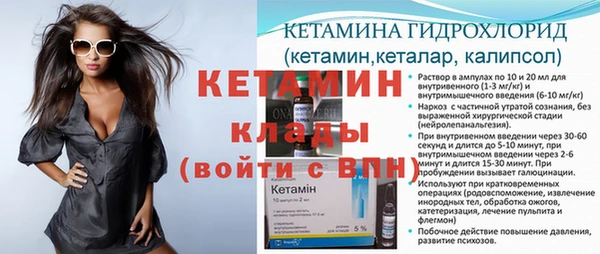шишки Медвежьегорск